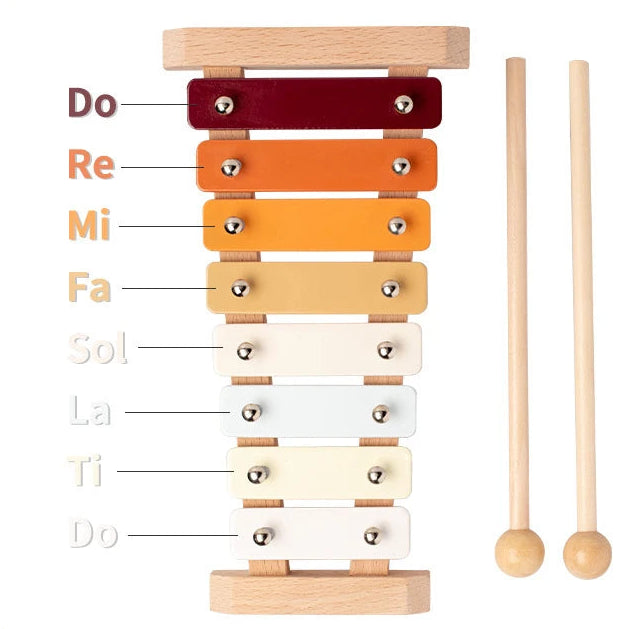 Set de Instrumentos Musicales