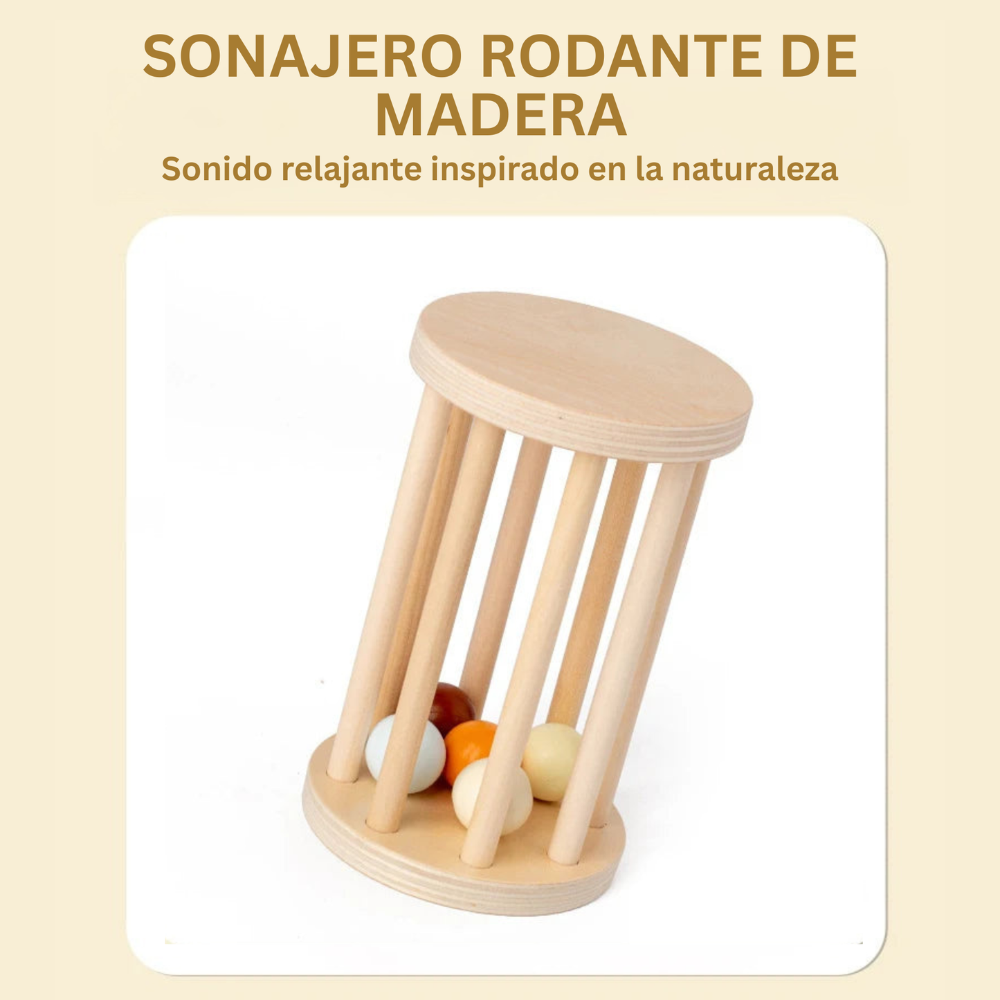 Set de Instrumentos Musicales